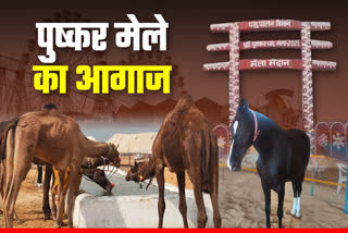 ETV Bharat Rajasthan News