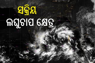 Odisha expects heavy rain fall
