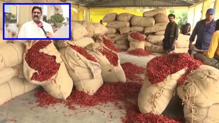 Chilli_Prices_Reduced_in_Guntur_Mirchi_Yard