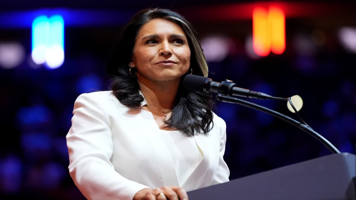 Tulsi Gabbard US Politics