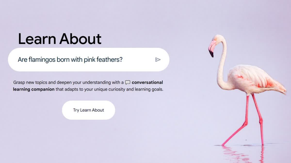 GOOGLE LEARN ABOUT AI TOOL  GOOGLE LAUNCHES NEW AI FEATURE  LEARN ABOUT FEATURE