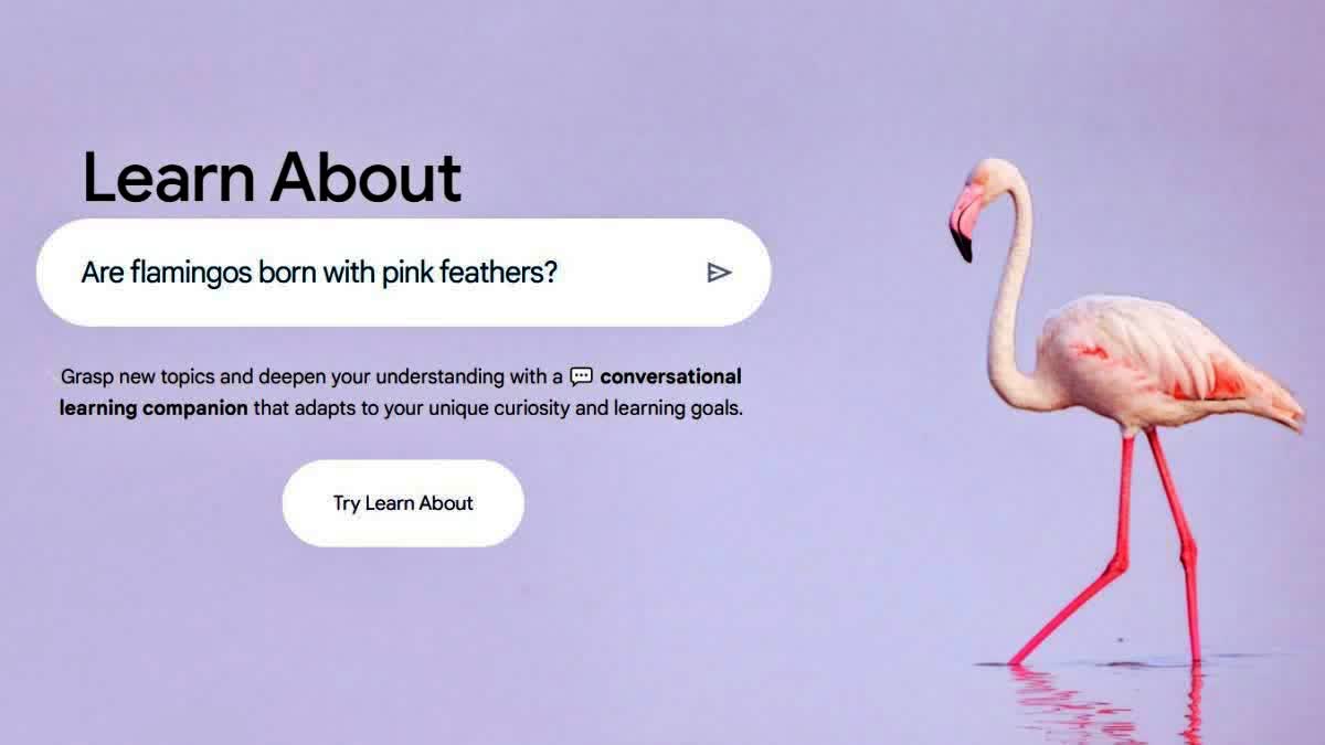 Google Learn About AI Tool