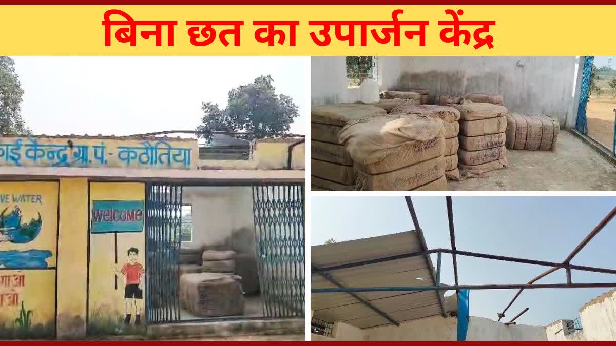 paddy procurement Start in Chhattisgarh