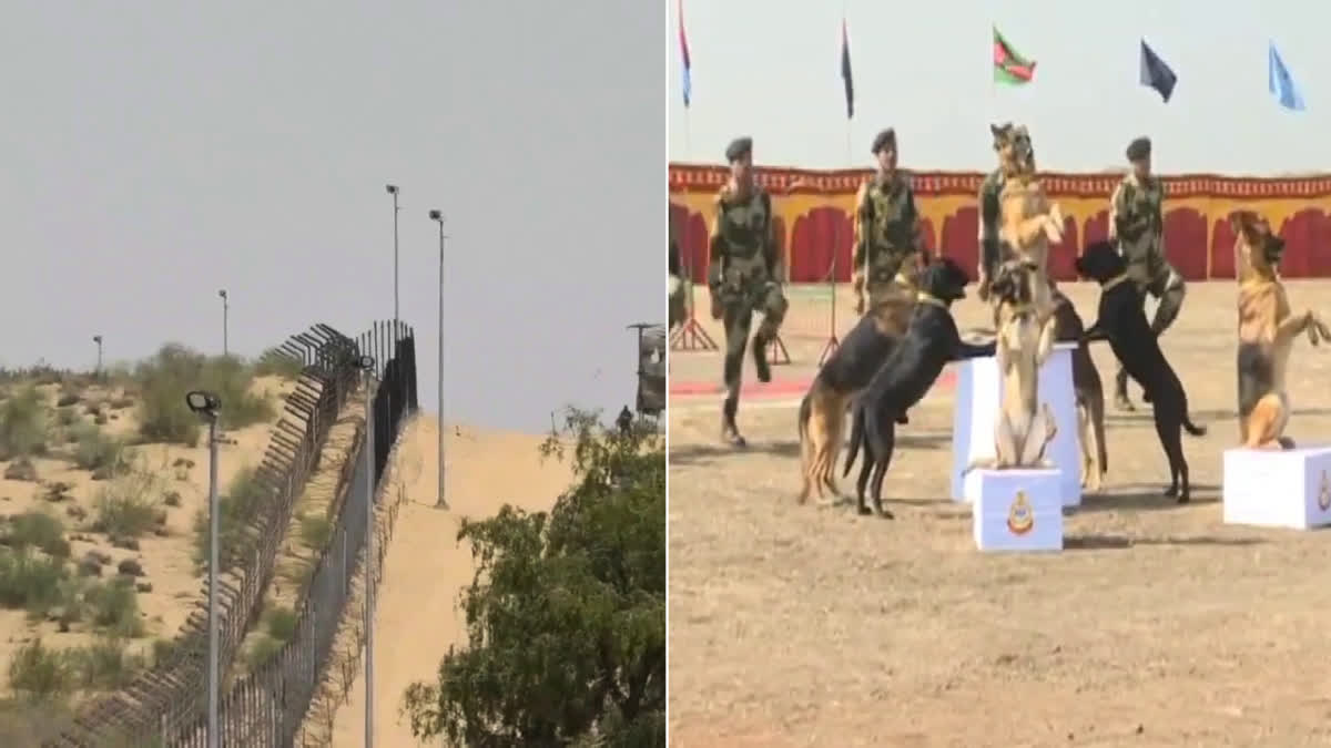 Dog Squad on Pak Border