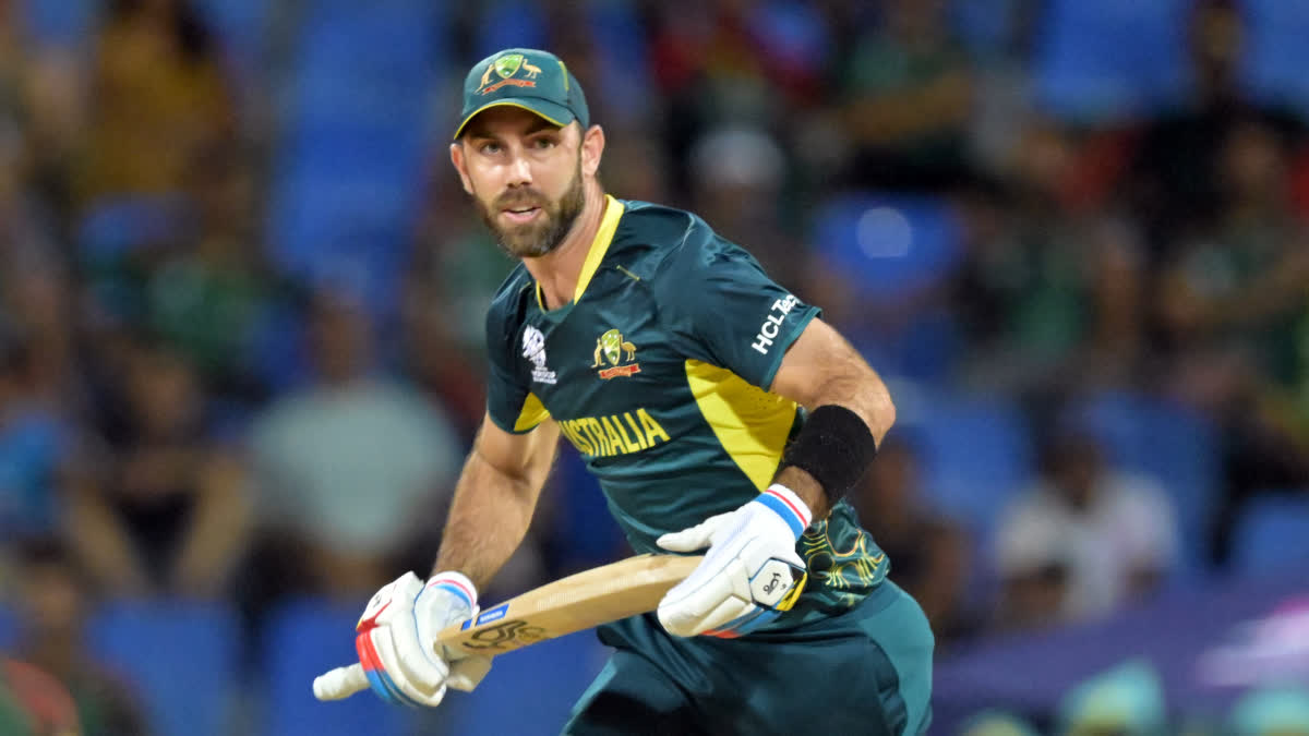 AUS VS PAK  GLENN MAXWELL  PAKISTAN CRICKET TEAM  CRICKET AUSTRALIA