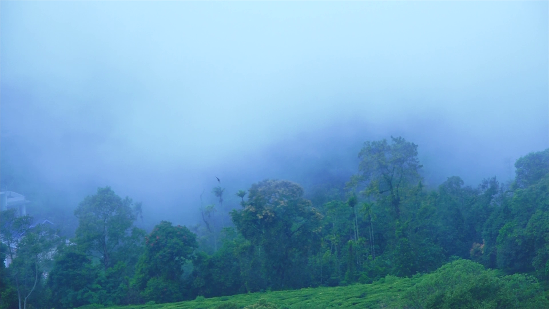 TOURISM SPOT IN MUNNAR  BEST TOURISM SPOT RANDAM MILE  രണ്ടാംമൈല്‍ വ്യൂപോയിന്‍റ്  ഇടുക്കി വിനോദ സഞ്ചാര കേന്ദ്രം