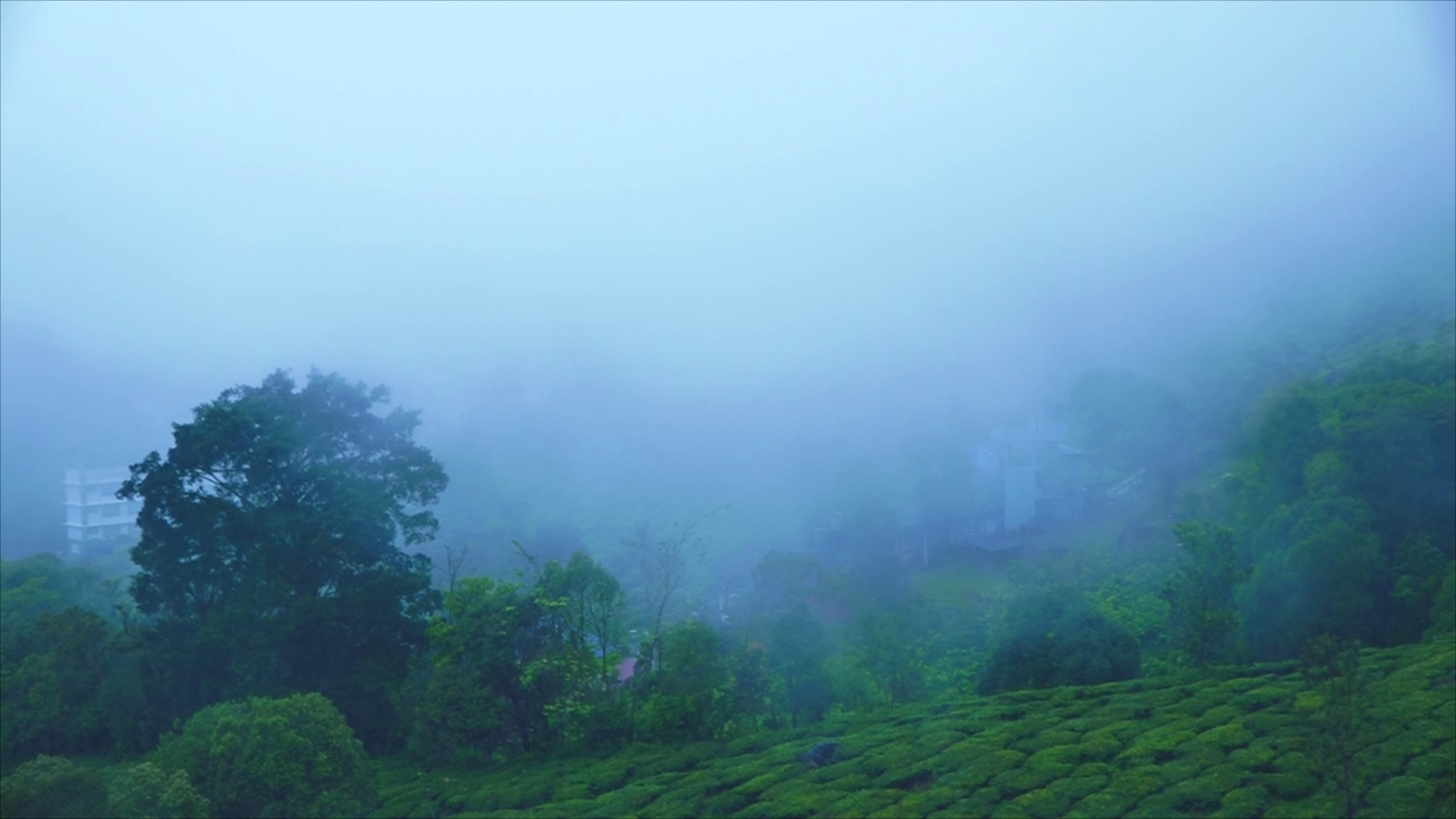 TOURISM SPOT IN MUNNAR  BEST TOURISM SPOT RANDAM MILE  രണ്ടാംമൈല്‍ വ്യൂപോയിന്‍റ്  ഇടുക്കി വിനോദ സഞ്ചാര കേന്ദ്രം