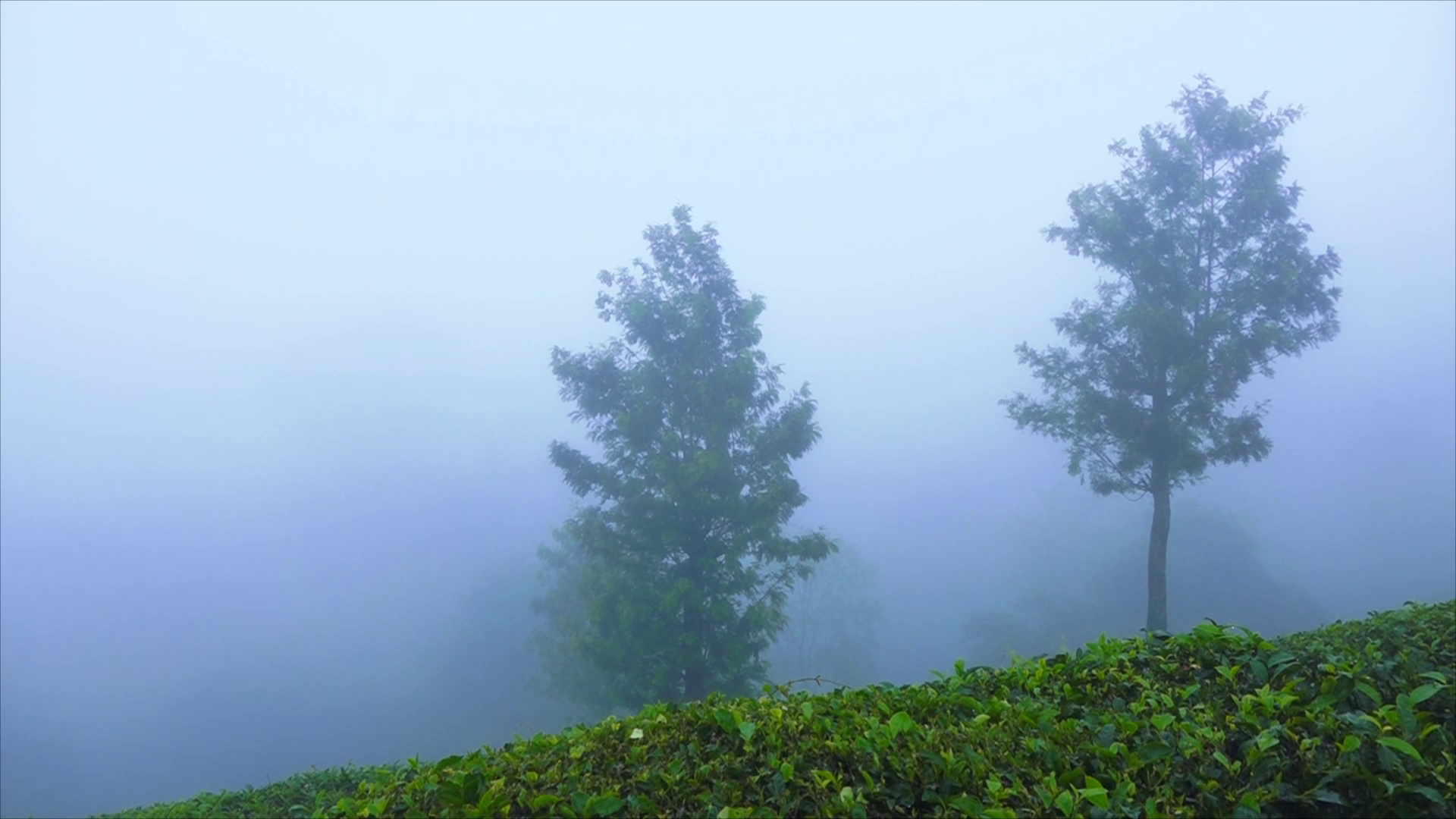 TOURISM SPOT IN MUNNAR  BEST TOURISM SPOT RANDAM MILE  രണ്ടാംമൈല്‍ വ്യൂപോയിന്‍റ്  ഇടുക്കി വിനോദ സഞ്ചാര കേന്ദ്രം