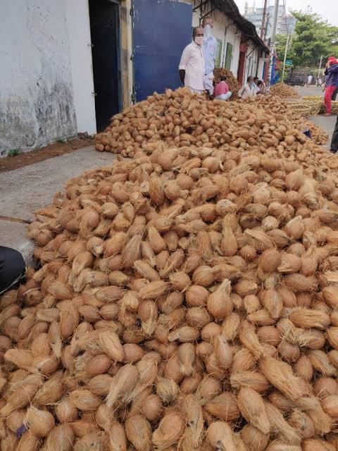 COCONUT RATE TODAY  COCONUT RATE INCREASED IN KERALA  പച്ചത്തേങ്ങ വില ഉയര്‍ന്നു  വെളിച്ചെണ്ണ വിലയില്‍ കുതിപ്പ്