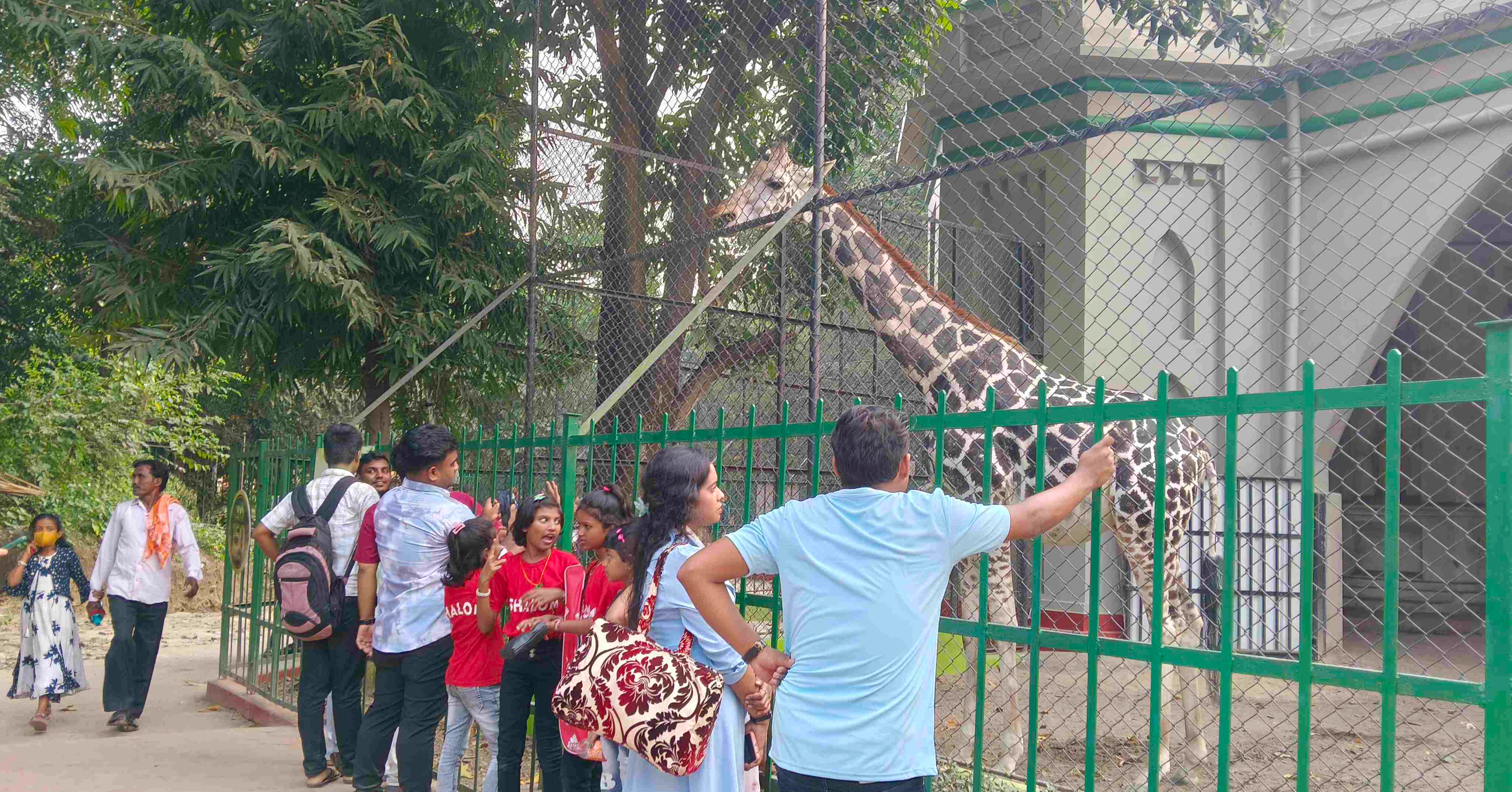 Alipore Zoo