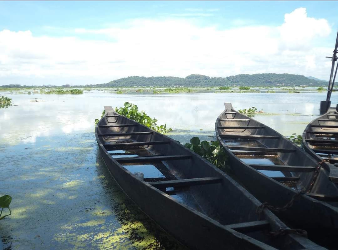 Deepor Beel: Assam's Lone Ramsar Site Struggling To Retain Status