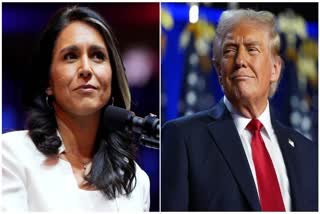 What To Know About Tulsi Gabbard—Anti-War Crusader & Ex-Democrat Named Trump’s Intelligence Director