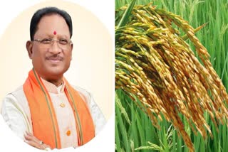 CG PADDY PROCUREMENT