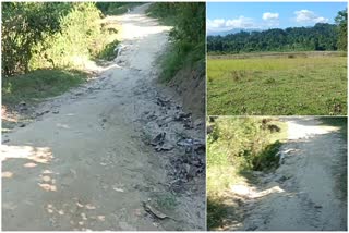 Villagers of Lakhimpur Arunachal border area deprived from govt schemes