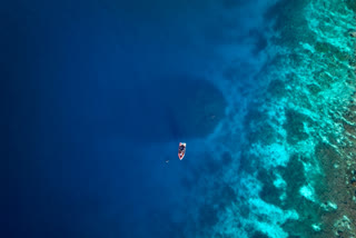 Scientists Say World's Largest Coral Found Near Solomon Islands