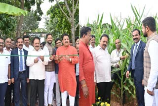 Karnataka Agriculture Minister N. Chaluvarayaswamy inaugurates Bengaluru Krishi Mela 2024 (L) and poses with a corn variety