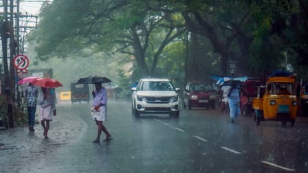 YELLOW ALERT DISTRICTS  LATEST WEATHER UPDATES KERALA  കേരളം മഴ മുന്നറിയിപ്പ്  WEATHER FORECAST