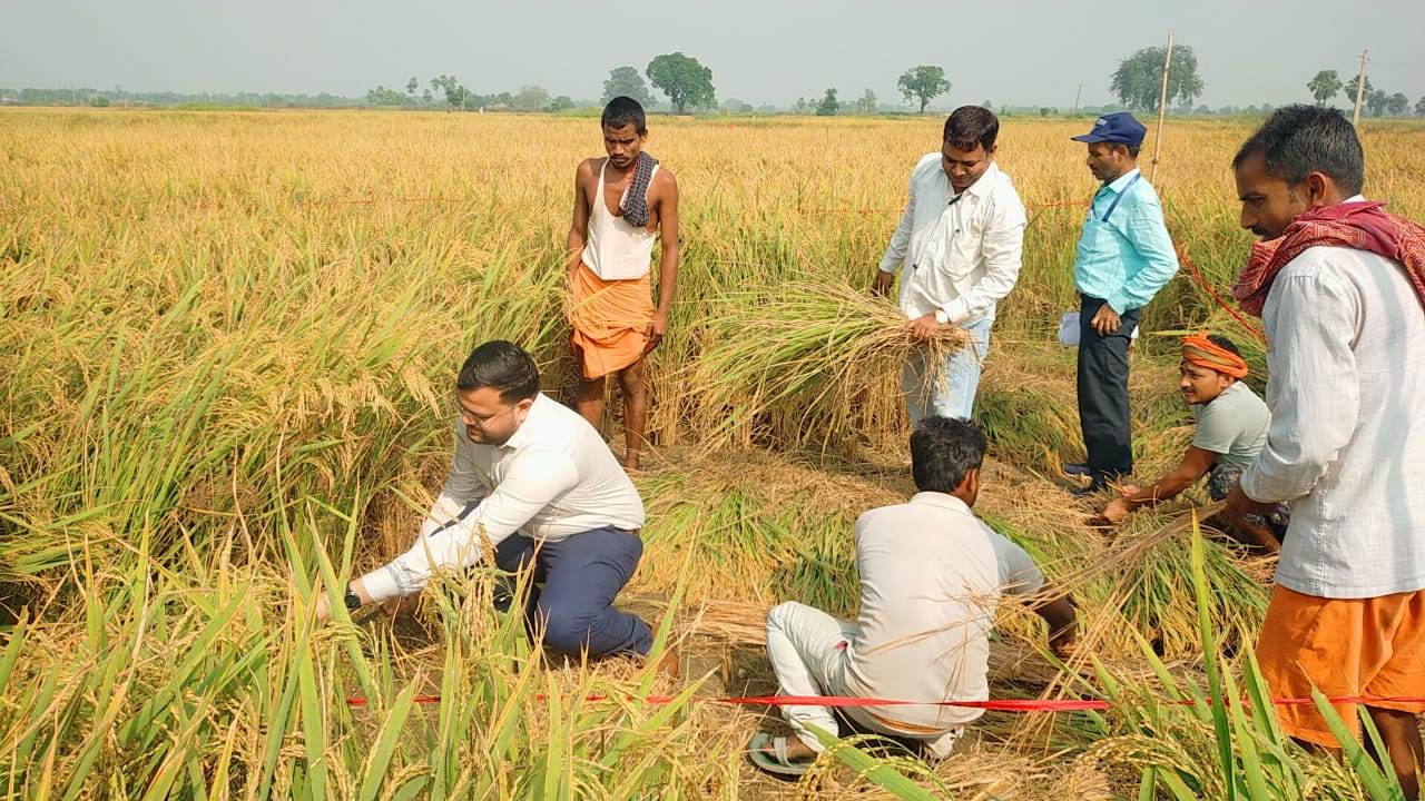 Masaurhi SDM