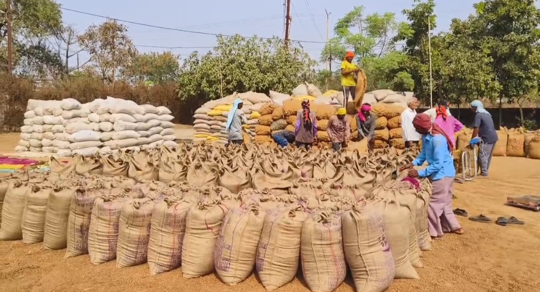 Paddy procurement