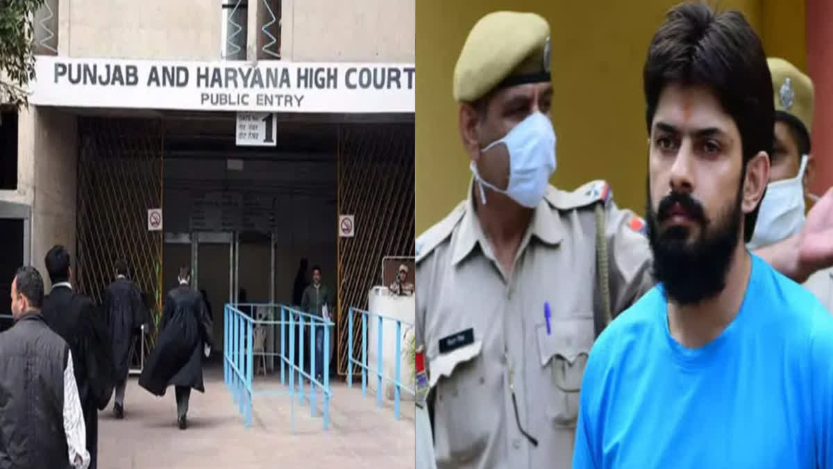 Appearance in the Punjab Haryana High Court today in the case of Lawrence Bishnoi's interview from jail