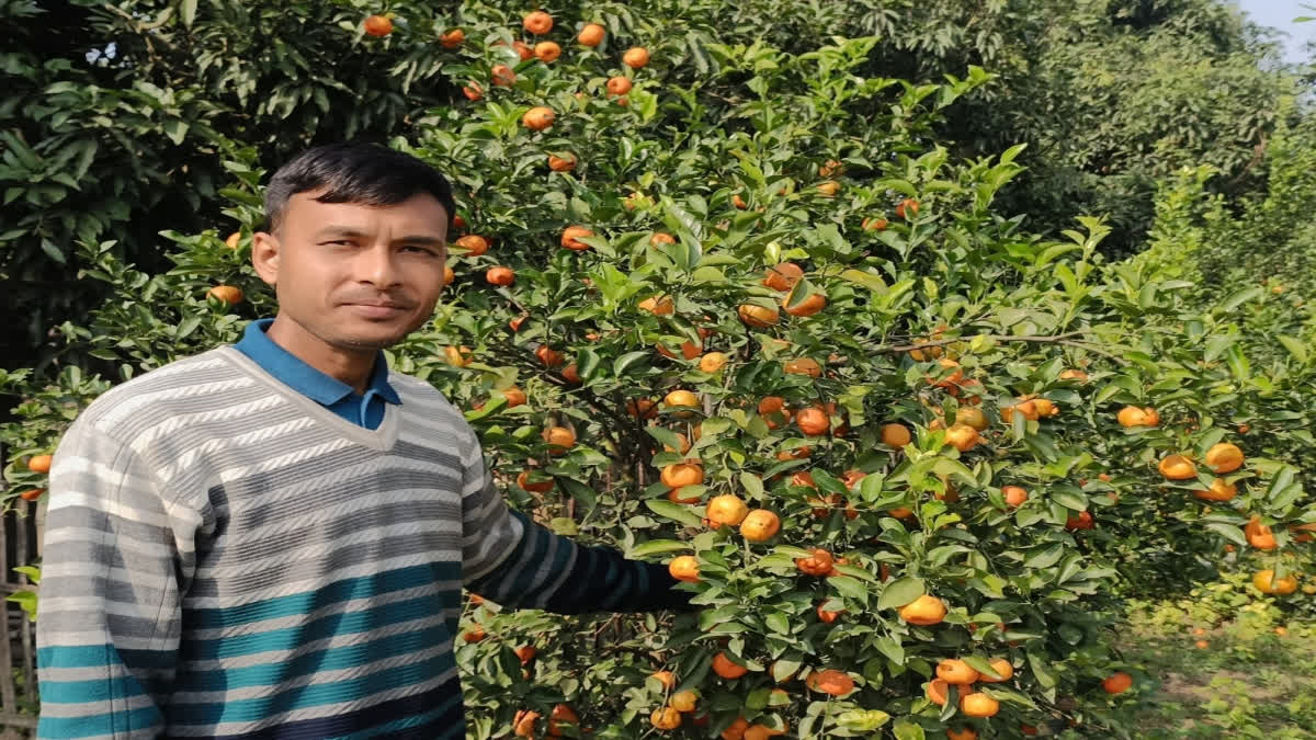 West Bengal: Farmer known for mangoes grows oranges in first in Malda