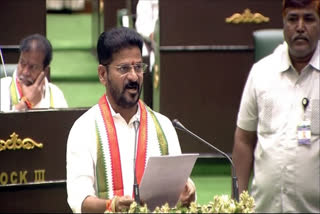 Telangana Chief Minister and Congress leader Revanth Reddy raised concerns over the major security breach in Parliament on Wednesday. He said that it was not just an "assault" on the parliament house but also on democratic values.