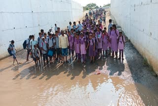 students_cross_the_road