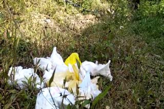 The handholds  drinking water also become garbage carriers  Upputhara Kappipara region  കുടിവെള്ളത്തിനും മറ്റ് ആവശ്യങ്ങൾക്കും  മികച്ച ഹരിത കർമ്മ സേന  mathayippara  statehighway  garbage in big sacks  statehighway  pwd  pancghayath  actions