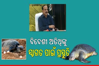 ୧୨ଲକ୍ଷ କଇଁଛଙ୍କ ଅଣ୍ଡାଦାନ ସ୍ଥଳରେ ହେବ ୬୬ କ୍ୟାମ୍ପ