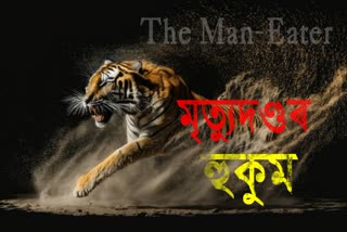 tiger menace at Wayanad
