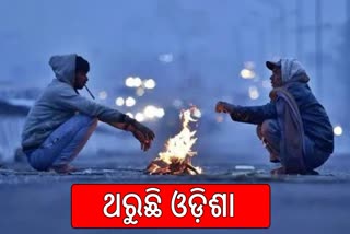 ତାପମାତ୍ରରେ ସାମାନ୍ୟ ହ୍ରାସ ପାଇଛି , ୧୬ ଯାଏଁ ଲାଗି ରହିବ ଶୀତ