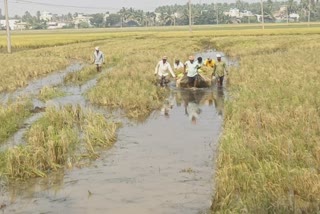 crop_movement_boats