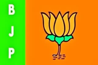 Telangana BJP MasterPlan on MP Elections