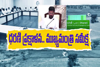 Debate on Dharani Portal Issues