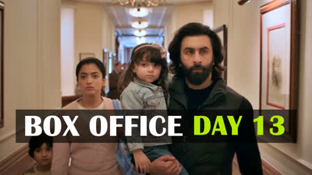 Bollywood actor Ranbir Kapoor's film Animal witnessed its lowest collection on day 13 at the domestic box office. Globally, the film has collected Rs 772.33 crore and is on the verge of entering the Rs 800 crore club.