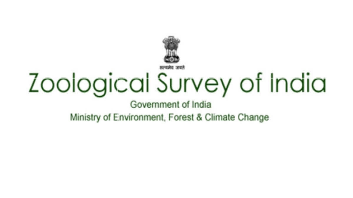 Zoological Survey of India