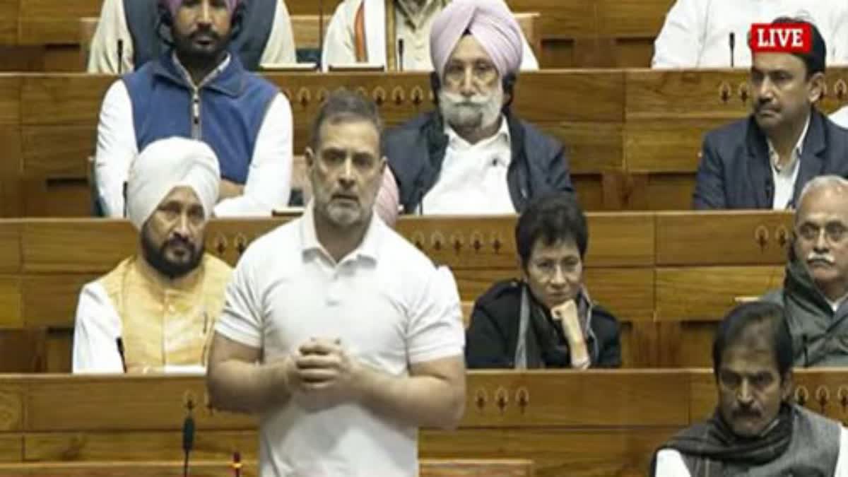 Rahul Gandhi Lok Sabha Speech