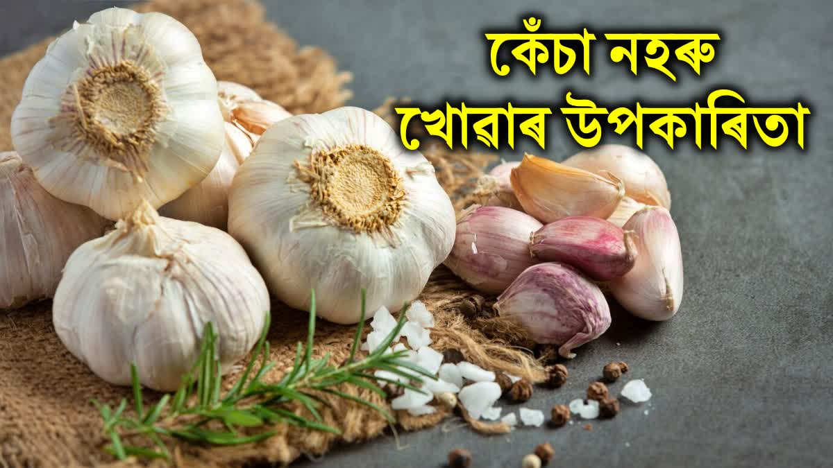 Garlic's Potential Health Benefits: Regulating Uric Acid and Cholesterol Levels