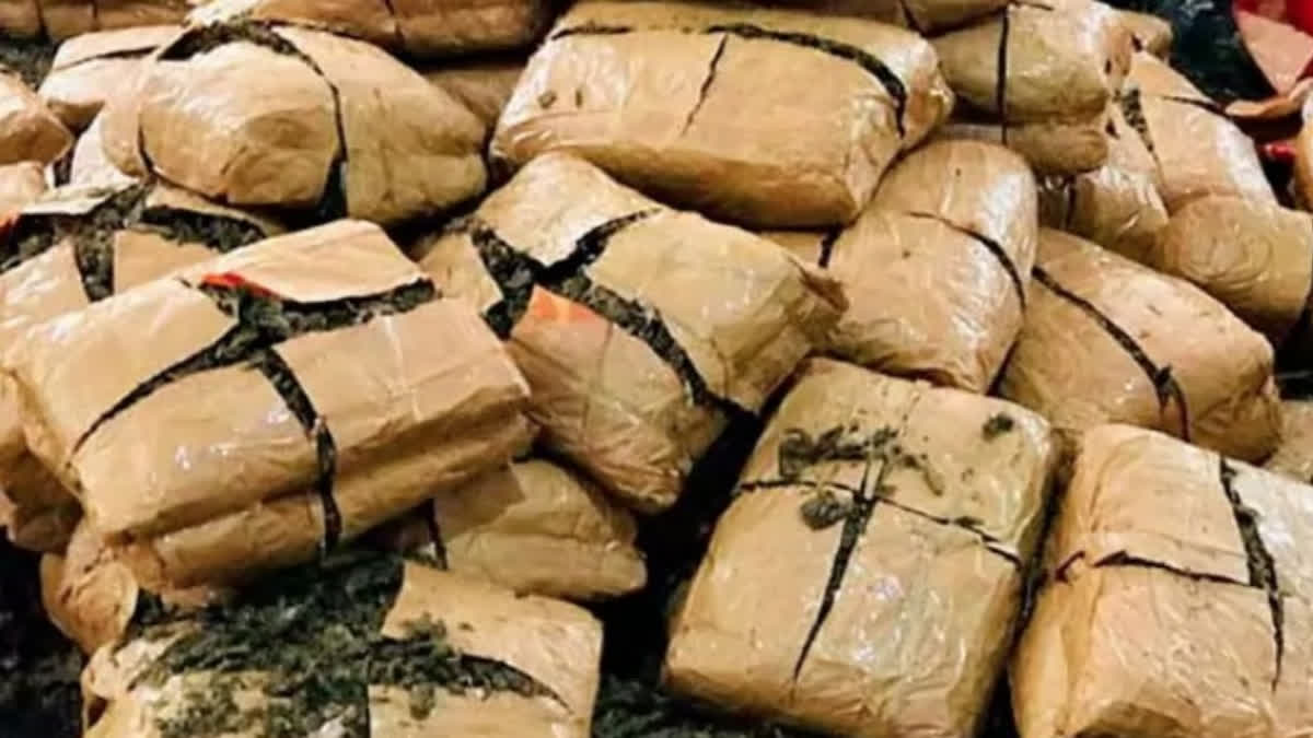 In an operation straight out of a movie script, Narcotics Control Bureau (NCB) officials foiled a ganja smuggling bid at the Madgi inter-state RTA checkpost in Mogudampalli mandal, Sangareddy district.