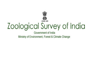 Zoological Survey of India