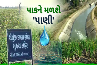 ભાવનગરમાં આગામી રવિ પાકને લઈને ખેડૂતોએ તૈયારી શરુ કરી દીધી