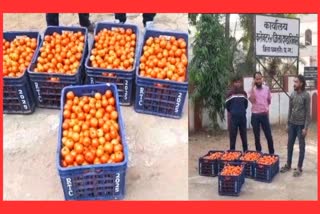 FARMER TOMATO CART FINED BY RTO