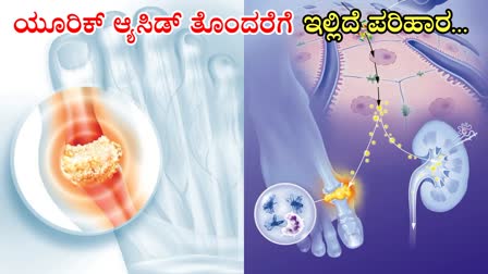 URIC ACID AVOID FOOD  FOODS THAT LOWER URIC ACID LEVEL  URIC ACID CAUSES FOOD  URIC ACID CONTROL FOOD IN KANNADA