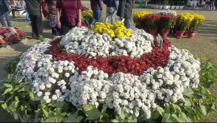 नोएडा में हेलीपैड ग्राउंड में लगा दो दिवसीय गुलदाउदी शो