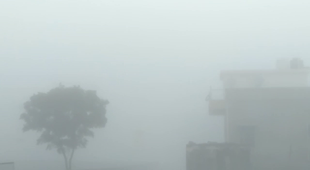 Thick fogs Cover Rajasthan