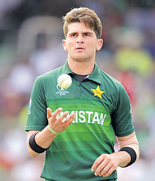 shaheen afridi