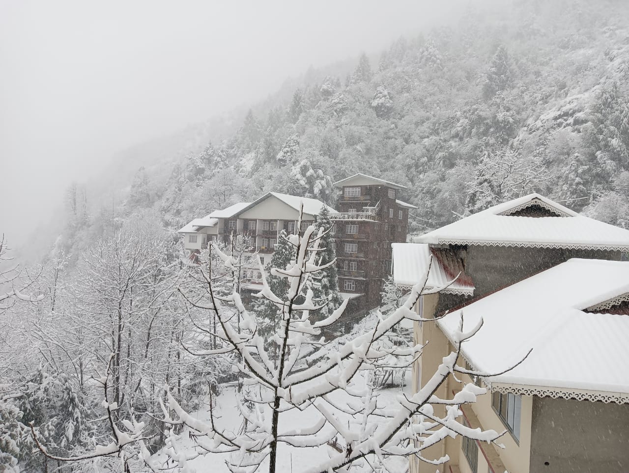 queen of hills  snowfall in darjeeling  ഡാര്‍ജലിങ് മഞ്ഞുവീഴ്‌ച  കുന്നുകളുടെ രാജ്ഞി  ടൈഗര്‍ ഹില്‍ മഞ്ഞുവീഴ്‌ച