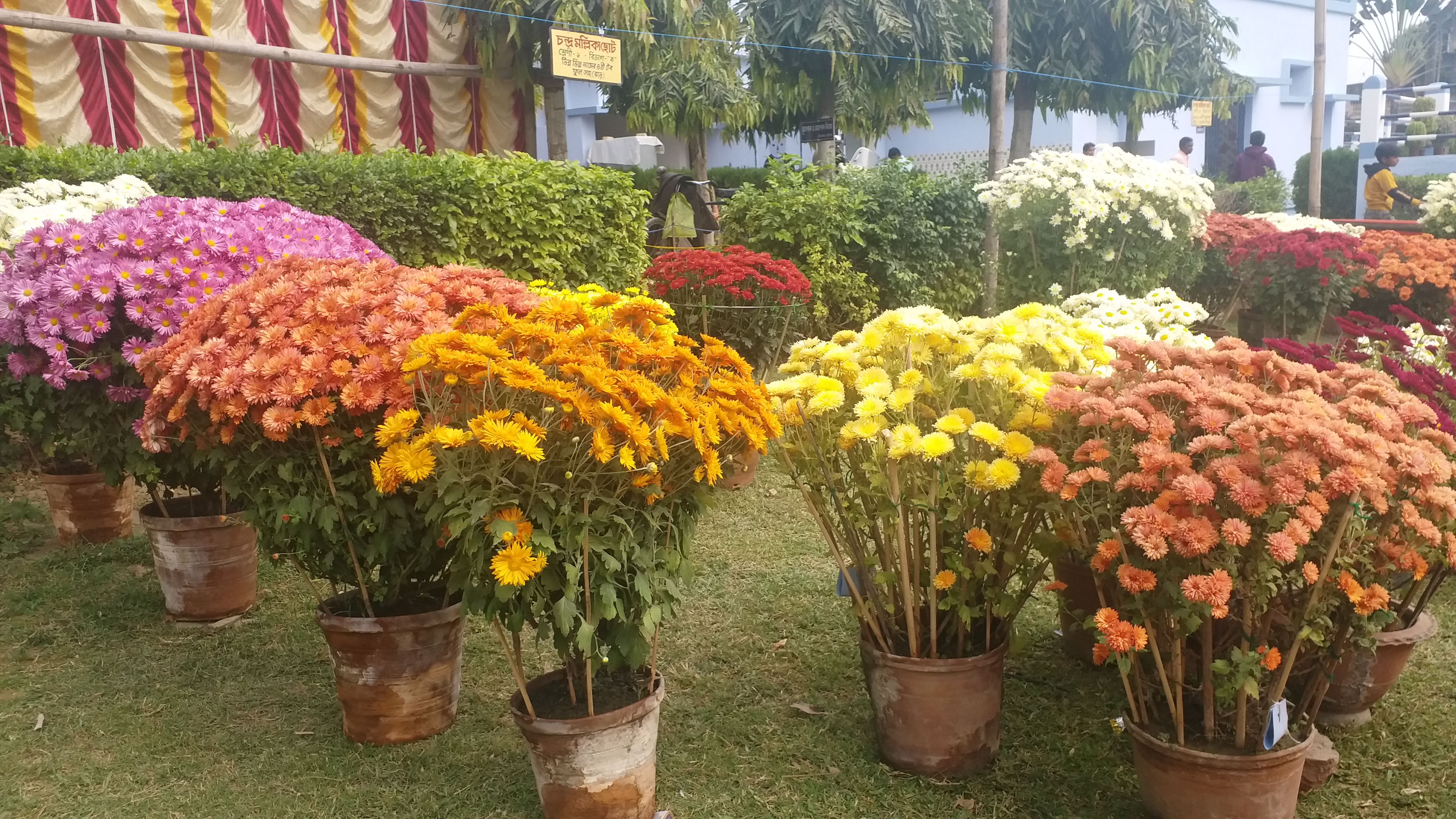 flower fair