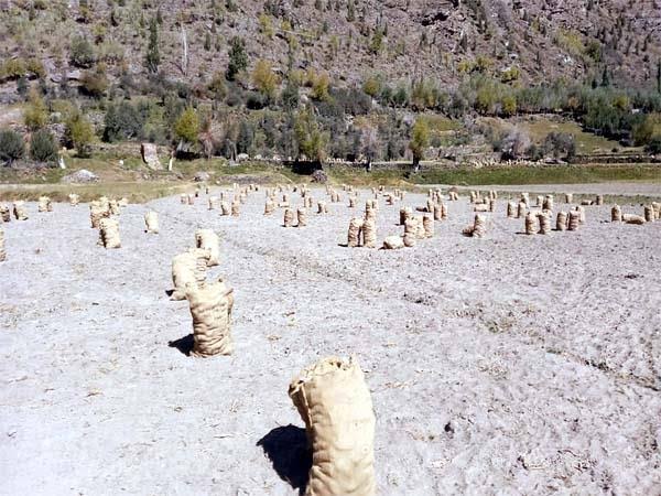 chips factory in Manali