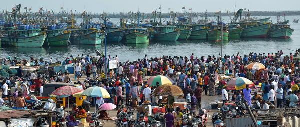 மீன்பிடி துறைமுகம்